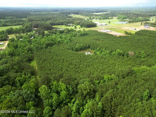 Land for Sale in Brookhaven, MS