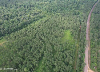 155 Acres Hunting Land for Sale in Centreville, MS