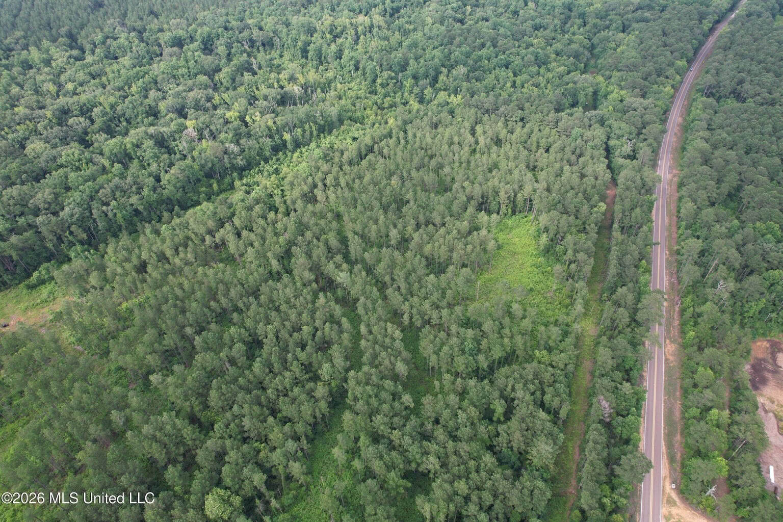 155 Acres Hunting Land for Sale in Centreville, MS