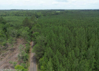 70+- Acres of Plantation Pines Pike County MS