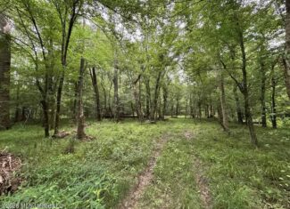 120± Acres for Sale in Osyka, MS on Tickfaw River