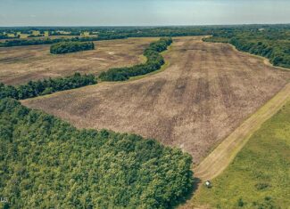 527 Acres Black Belt Prairie Clay County MS