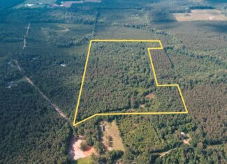 Weston 53 – Timber & Hunting Land in Louisiana