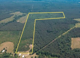 Weston 112 – Timber & Hunting Land in Jackson Parish, LA