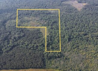 Chatham 72 – HARDWOOD TIMBER & HUNTING JACKSON PARISH LA
