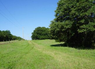 20 Acres +/- in Lincoln County For Sale
