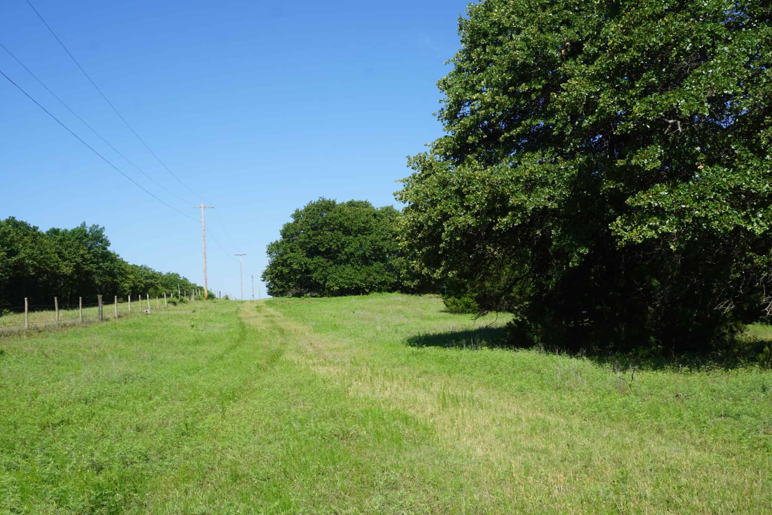20 Acres +/- in Lincoln County For Sale