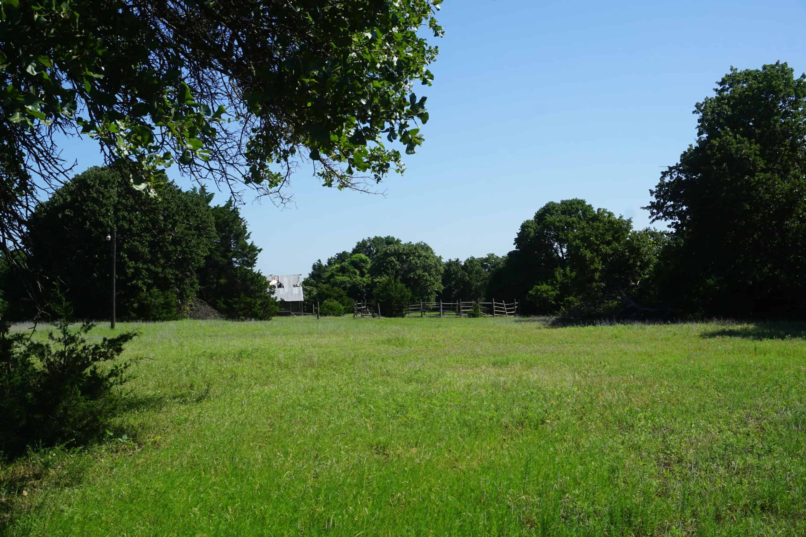 20 Acres +/- in Lincoln County For Sale