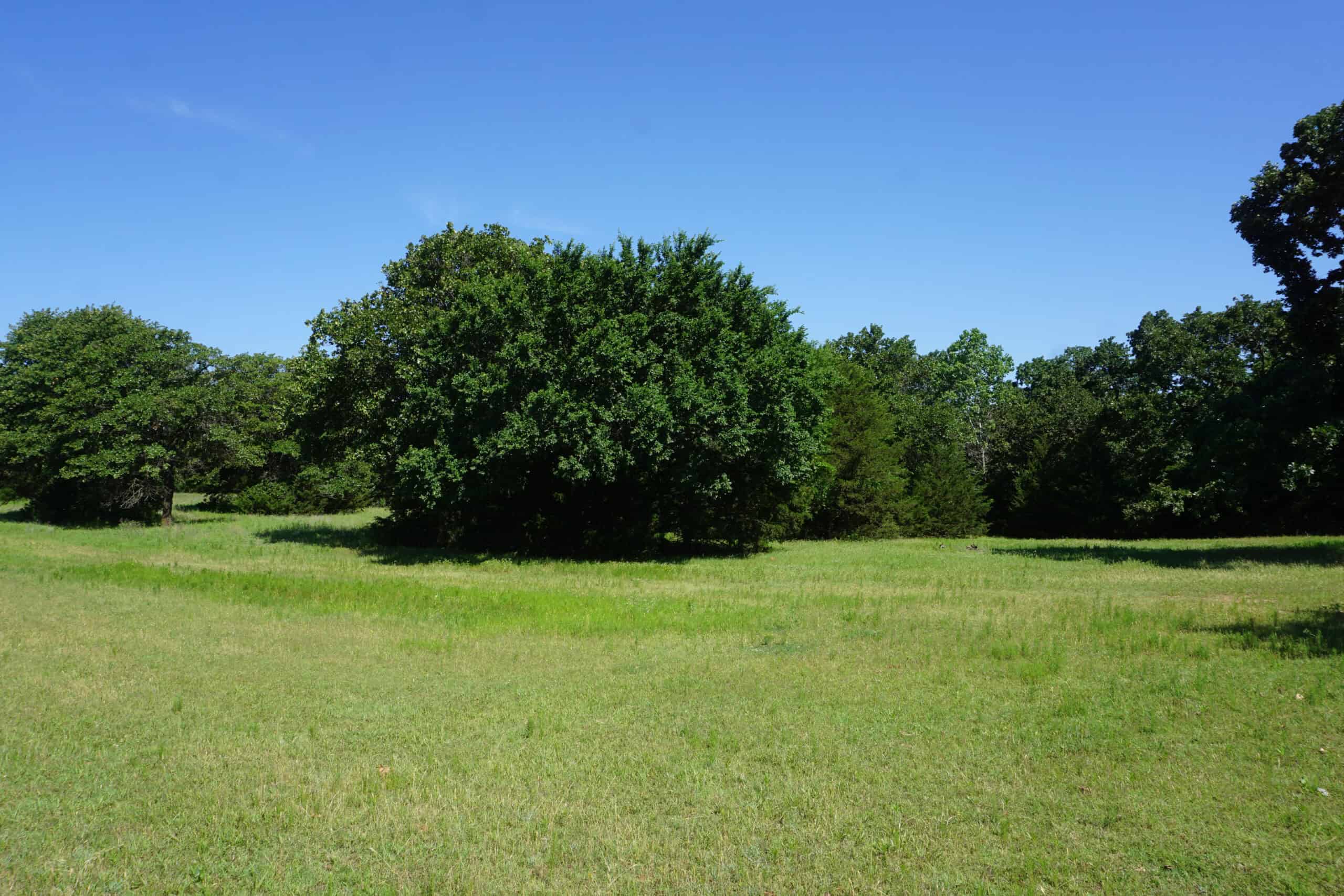 20 Acres +/- in Lincoln County For Sale