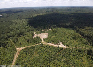 Wilkinson County MS Hunting Land for Sale