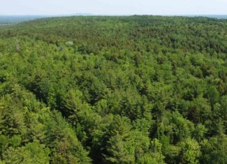 Large Land Parcel – 100 Acres in Maxfield, Maine