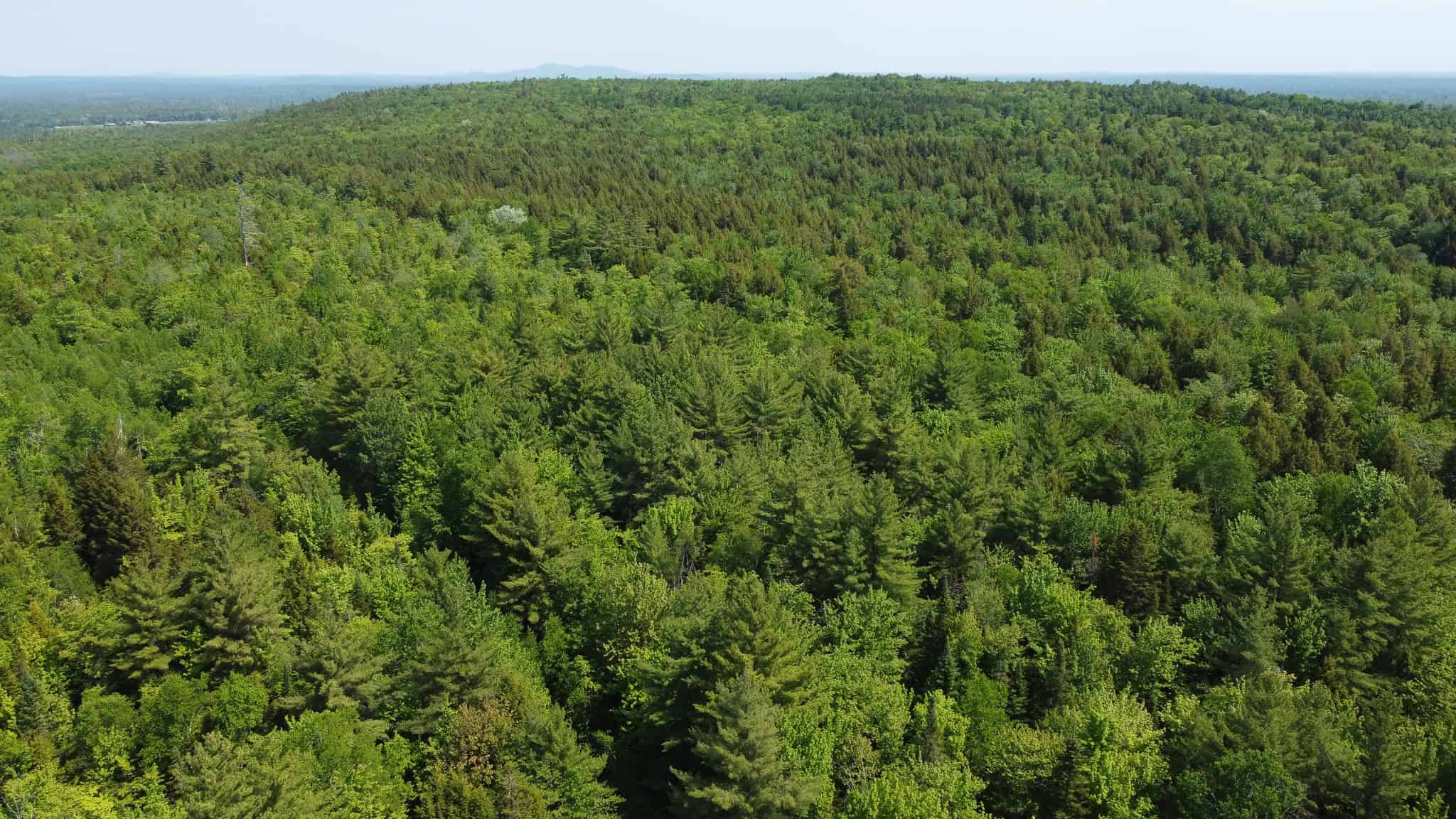 Large Land Parcel – 100 Acres in Maxfield, Maine