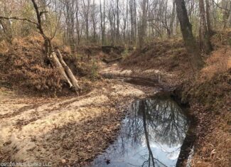88.5 acres Hunting & Timber Land for Sale in Utica, Ms