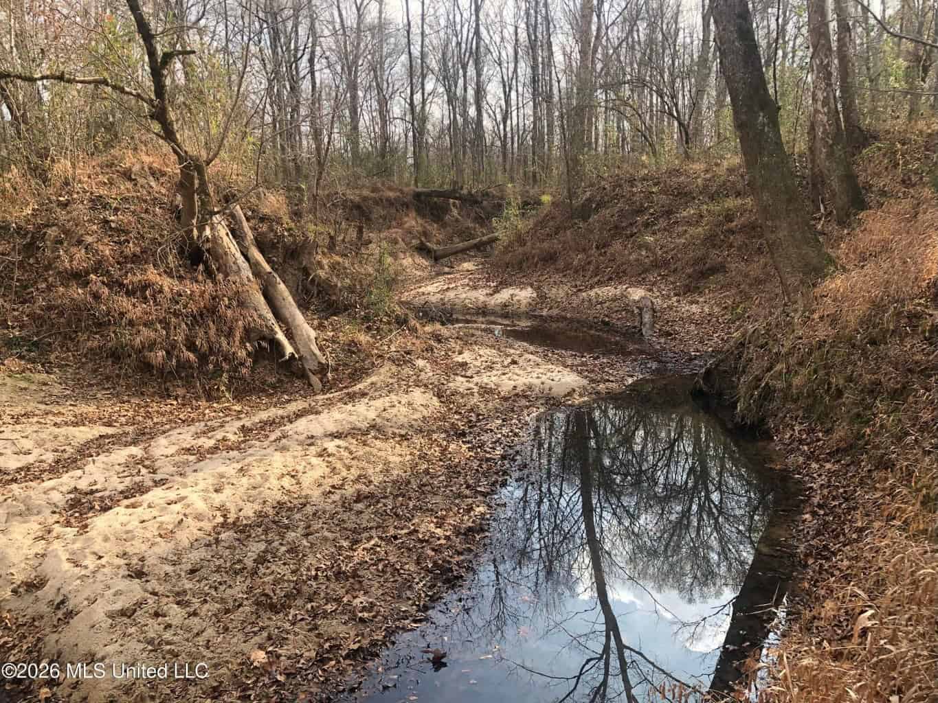 88.5 acres Hunting & Timber Land for Sale in Utica, Ms