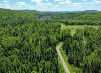 Large Acreage Maine Land for Sale Near West Grand Lake Chain