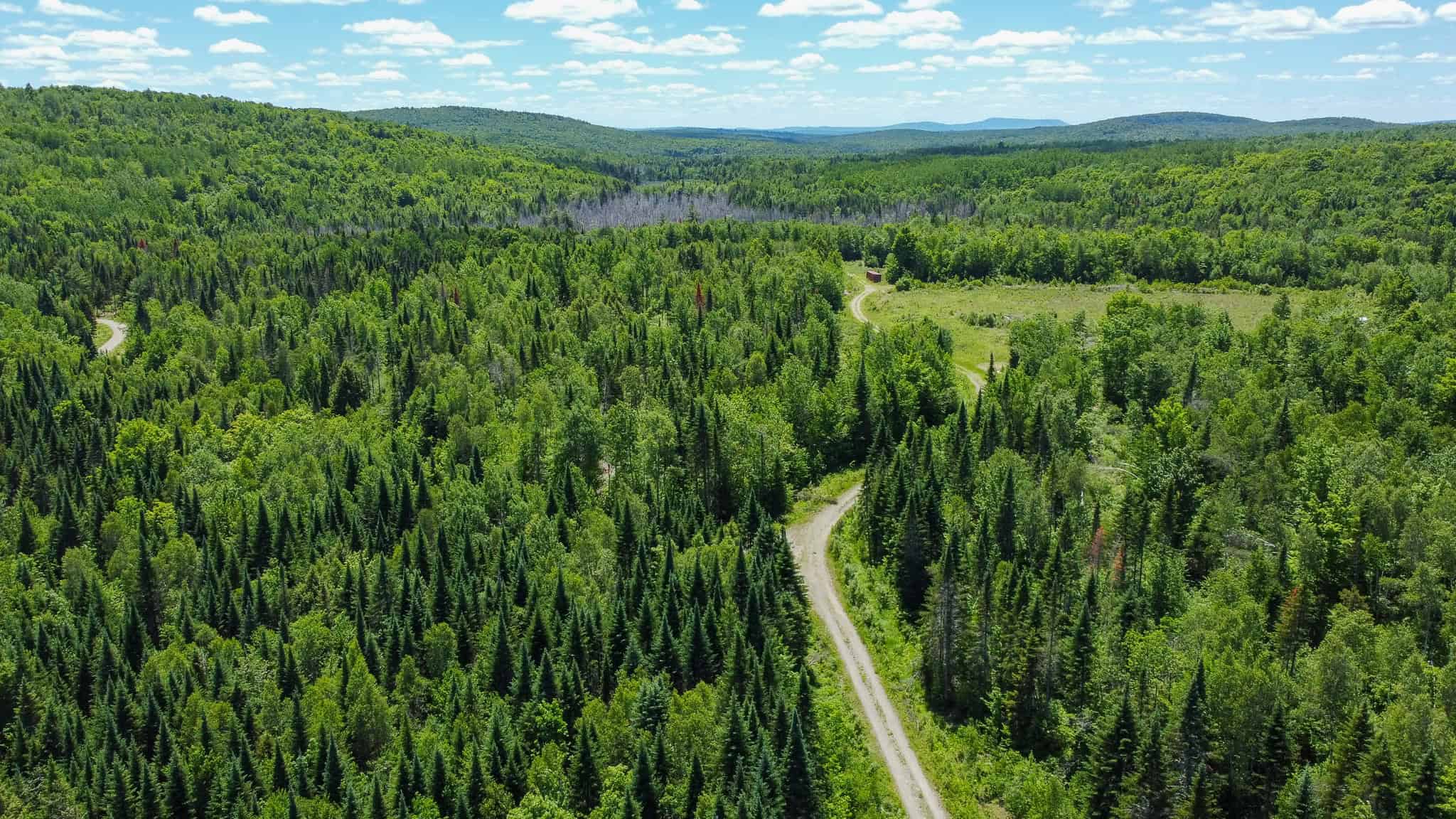 Large Acreage Maine Land for Sale Near West Grand Lake Chain