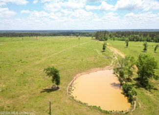 Pasture Land for Sale in Lincoln County, MS