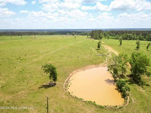 Pasture Land for Sale in Lincoln County, MS
