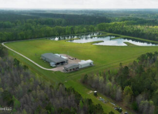 Paradise Whitetails in Oakdale, LA – 1,116± Acres