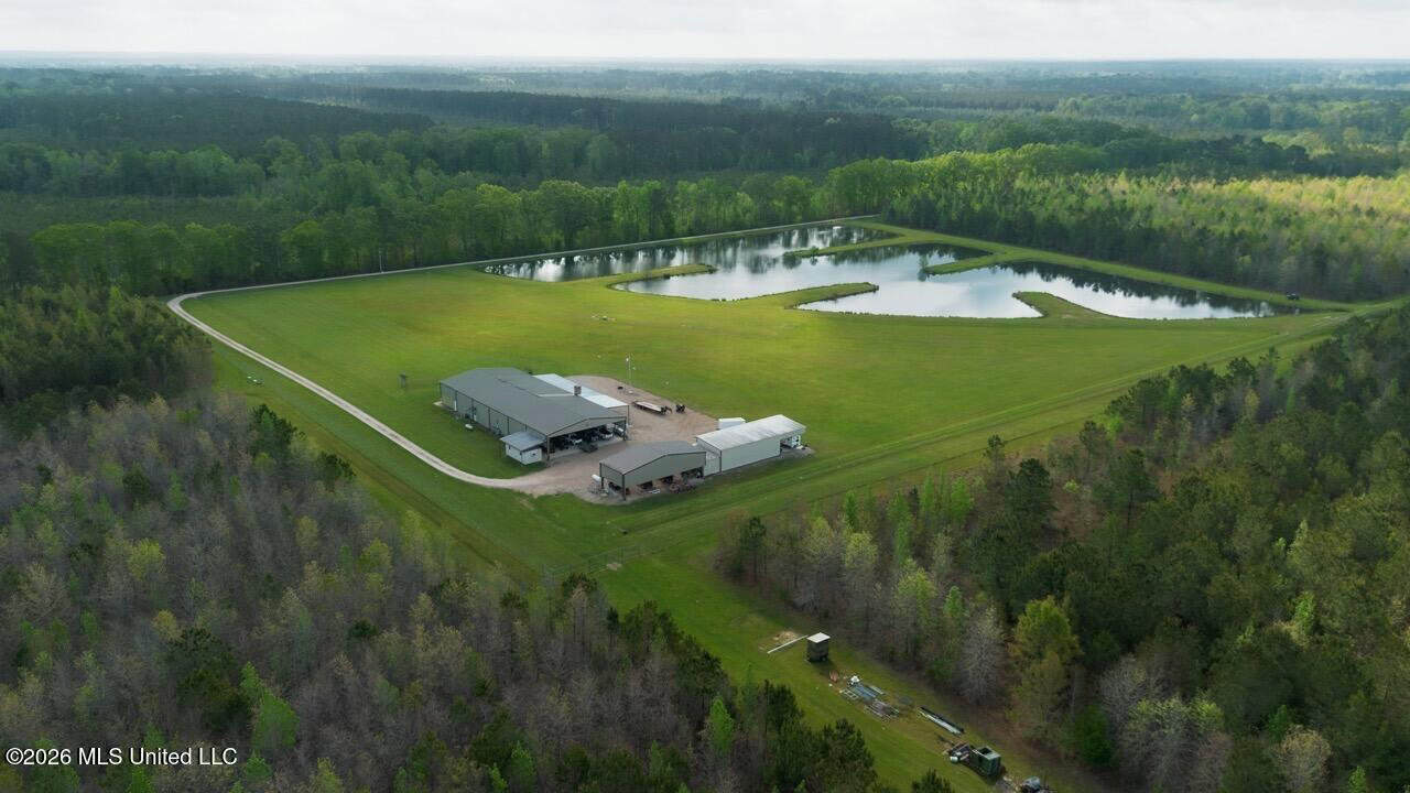 Paradise Whitetails in Oakdale, LA – 1,116± Acres