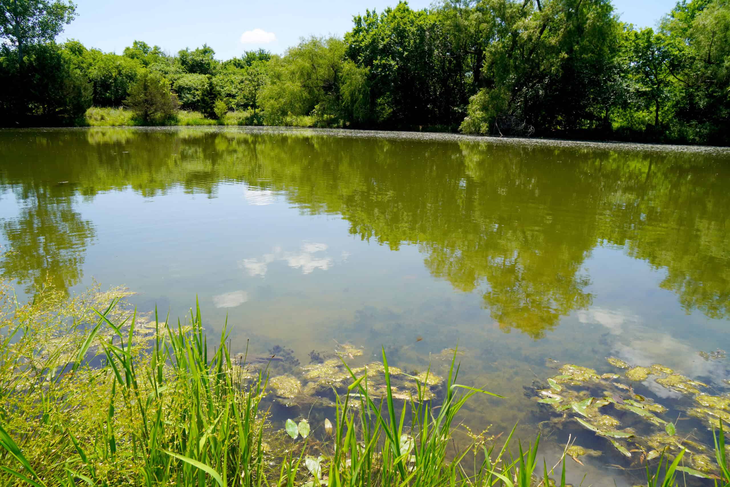 Lincoln County Recreational Homesite, Pond And Acreage For Sale