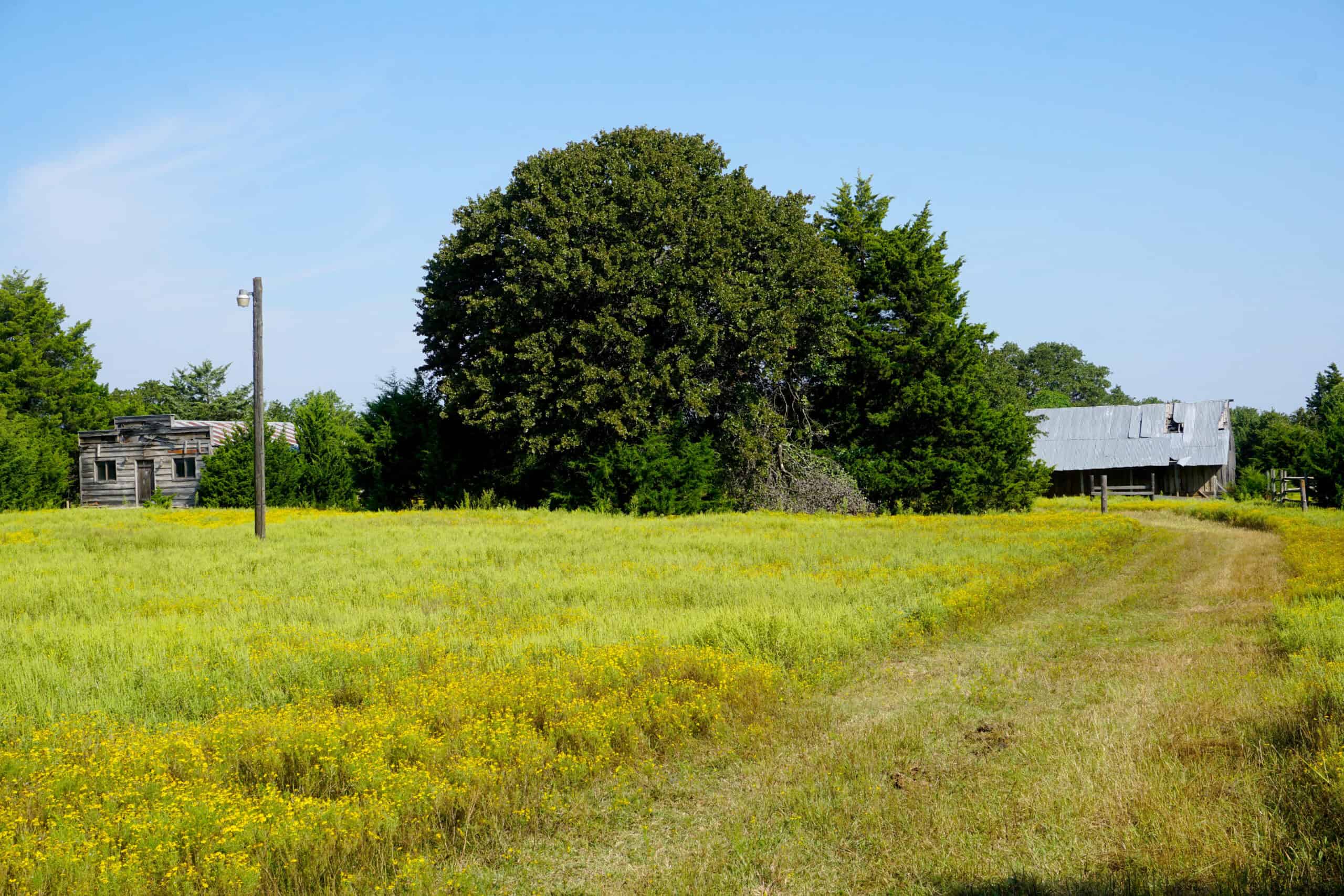 20 Acres +/- in Lincoln County For Sale