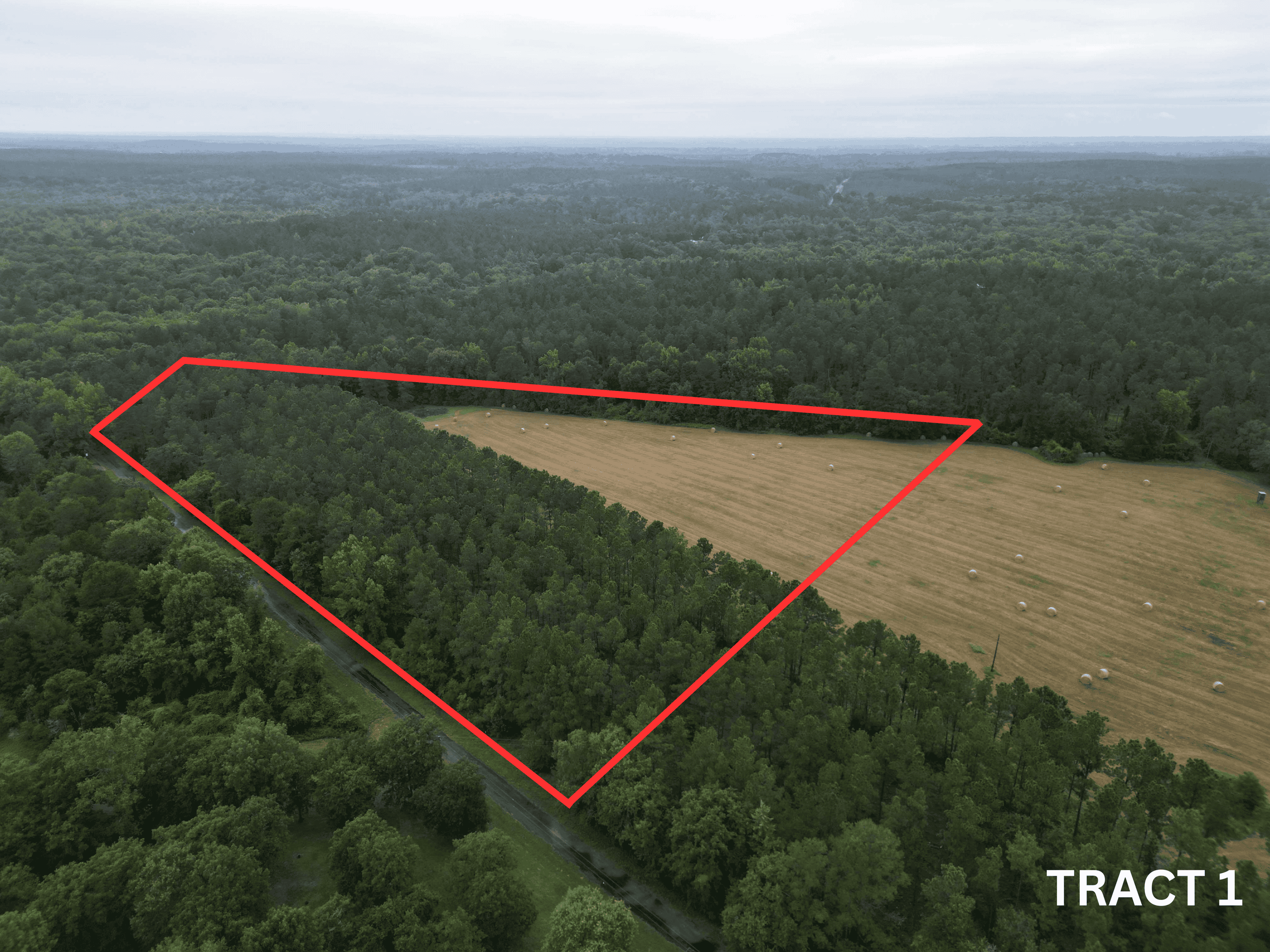 East Texas Land For Sale in McLeod, Texas
