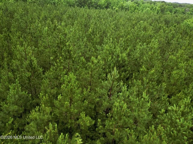 Land for Sale in Brookhaven, MS
