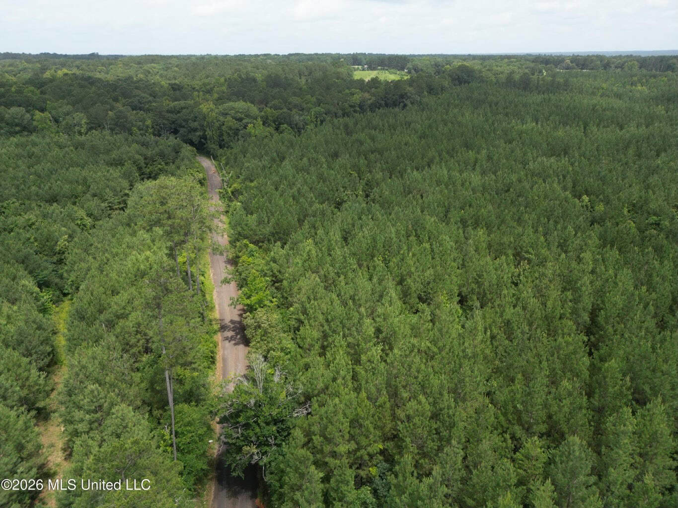 70+- Acres of Plantation Pines Pike County MS