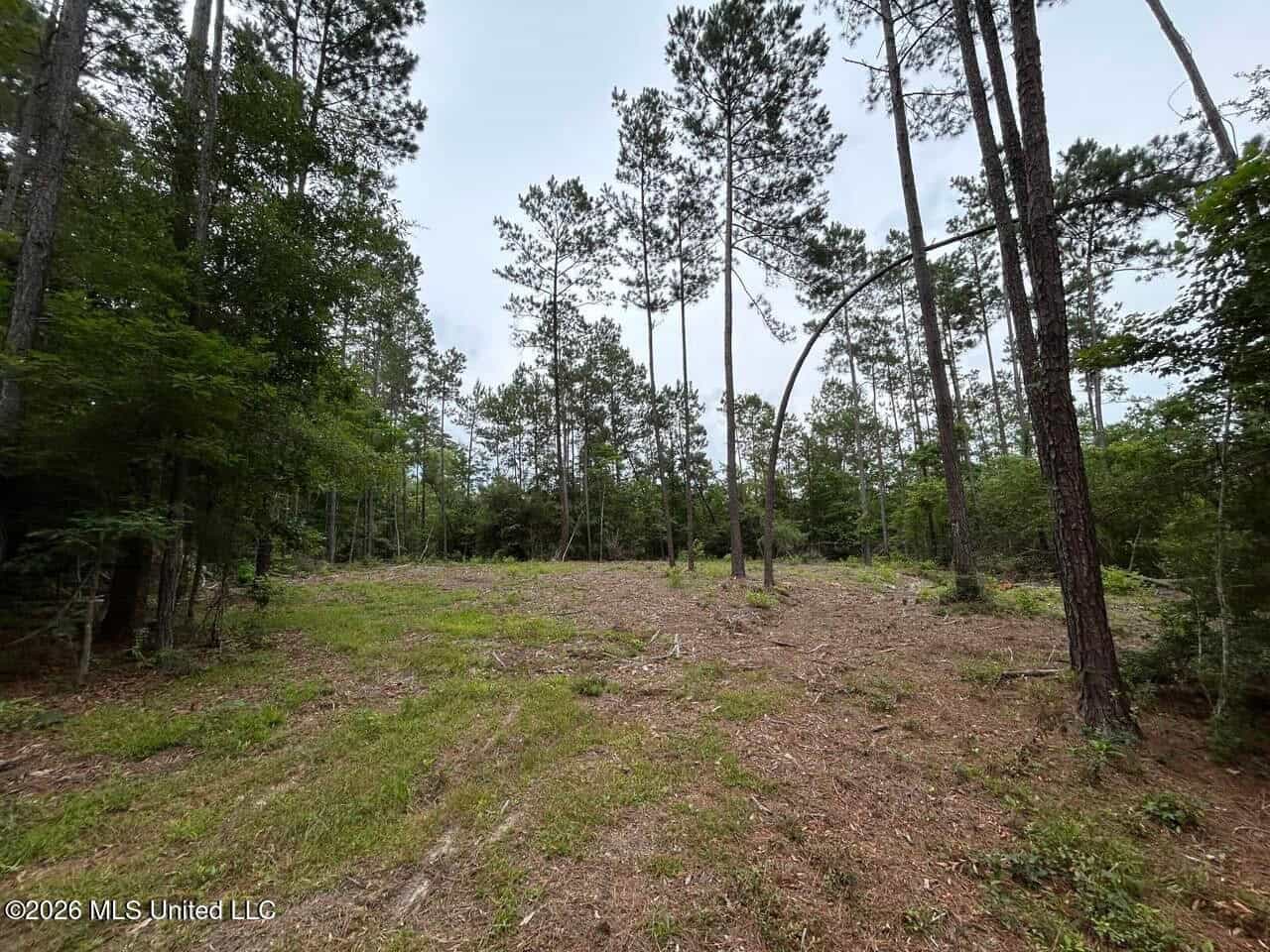 120± Acres for Sale in Osyka, MS on Tickfaw River