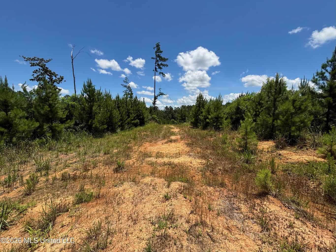 Wilkinson County MS Hunting Land for Sale