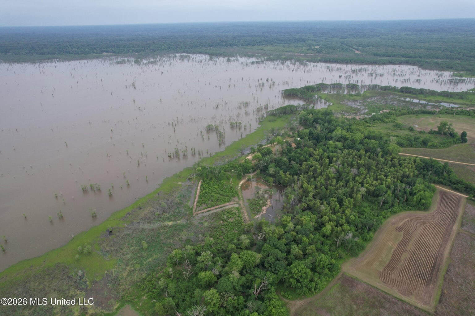 88 Acre Hunting Property – Wilkinson County, MS