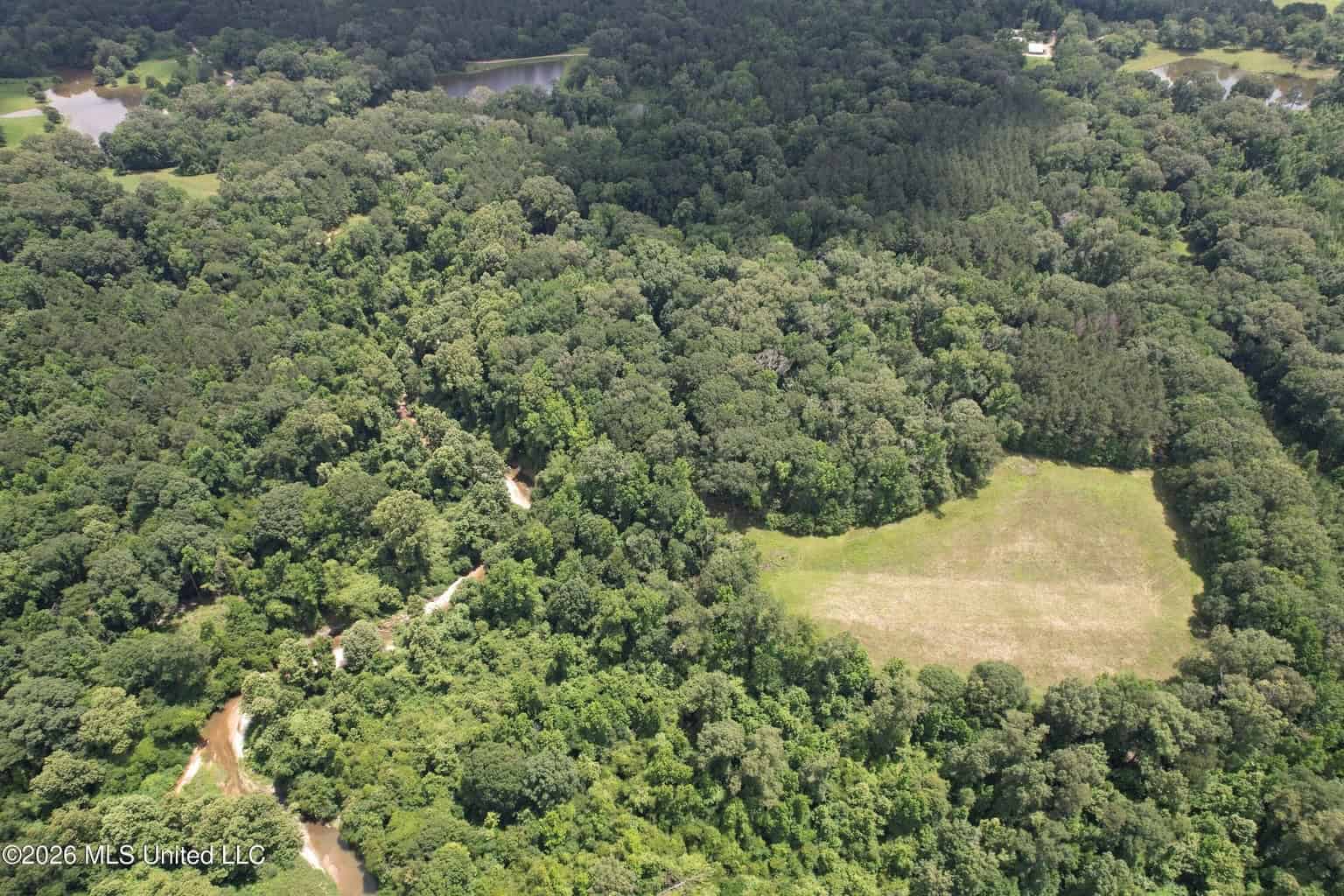 44 Acre Hunting Land in Wilkinson County, MS