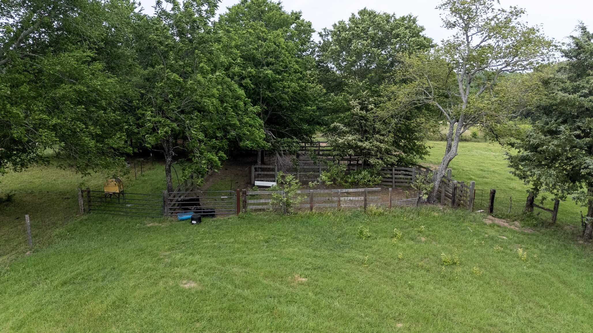 47.79-Acre Hunting Land with Cabin for Sale Ben Wheeler TX