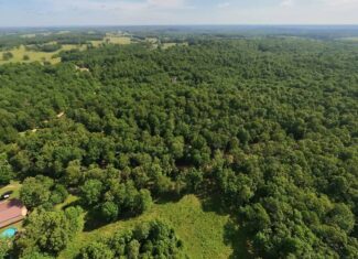 Missouri Hunting Property Bordering National Forest