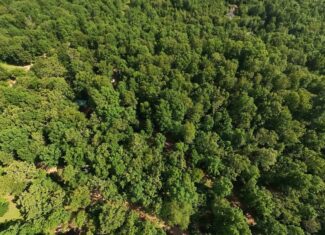 Missouri Hunting Property Bordering National Forest