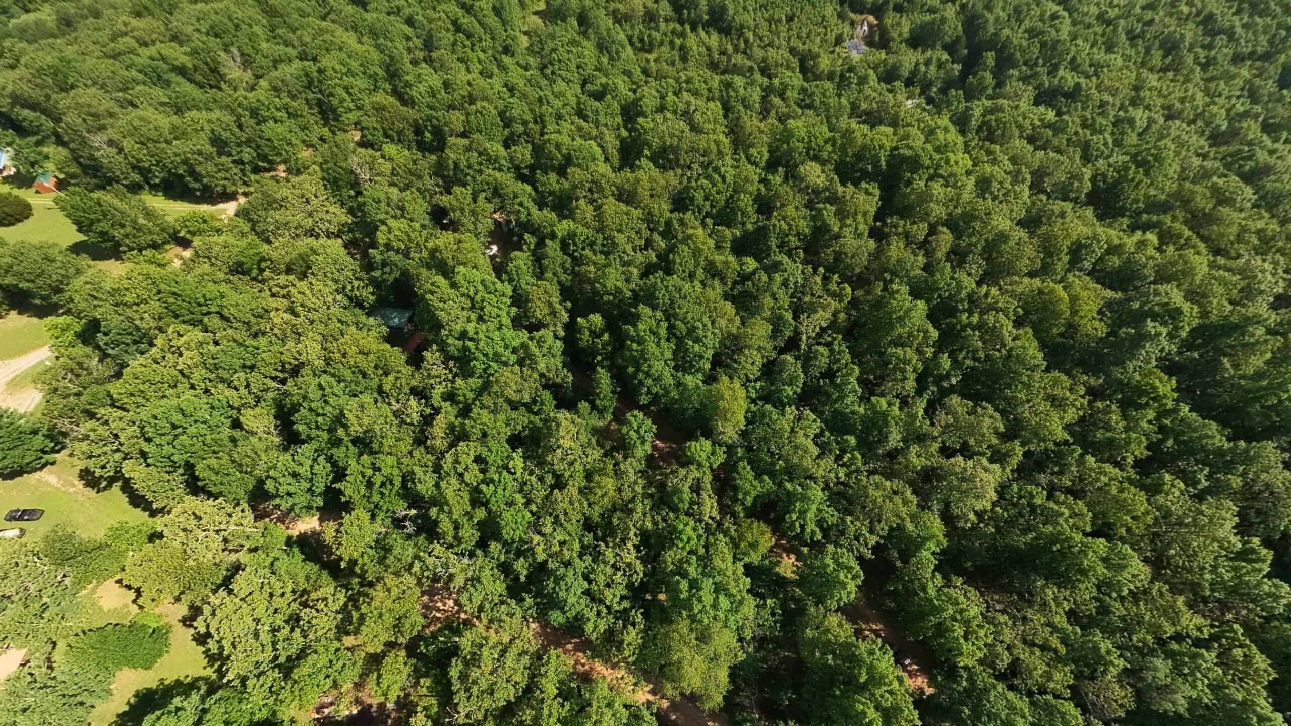 Missouri Hunting Property Bordering National Forest