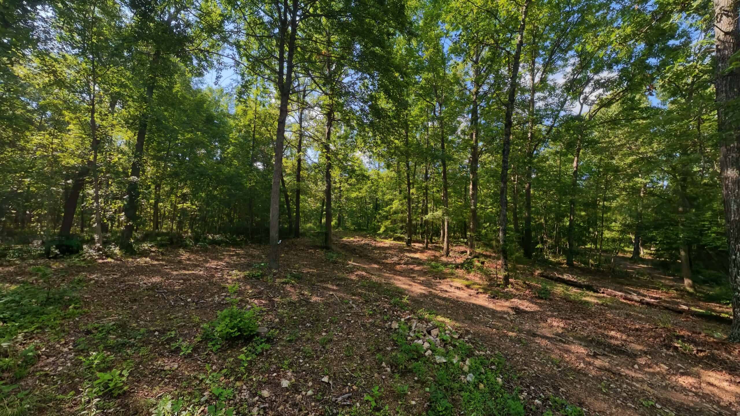 Missouri Hunting Property Bordering National Forest