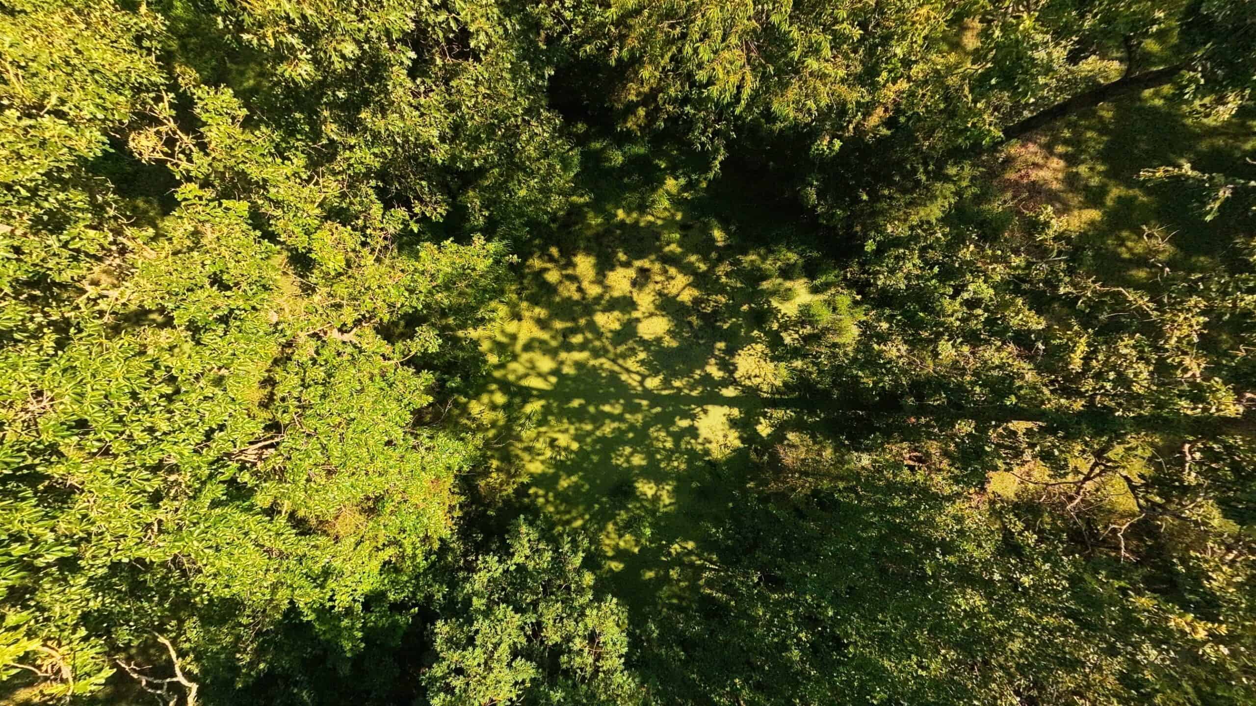 Missouri Hunting Property Bordering National Forest
