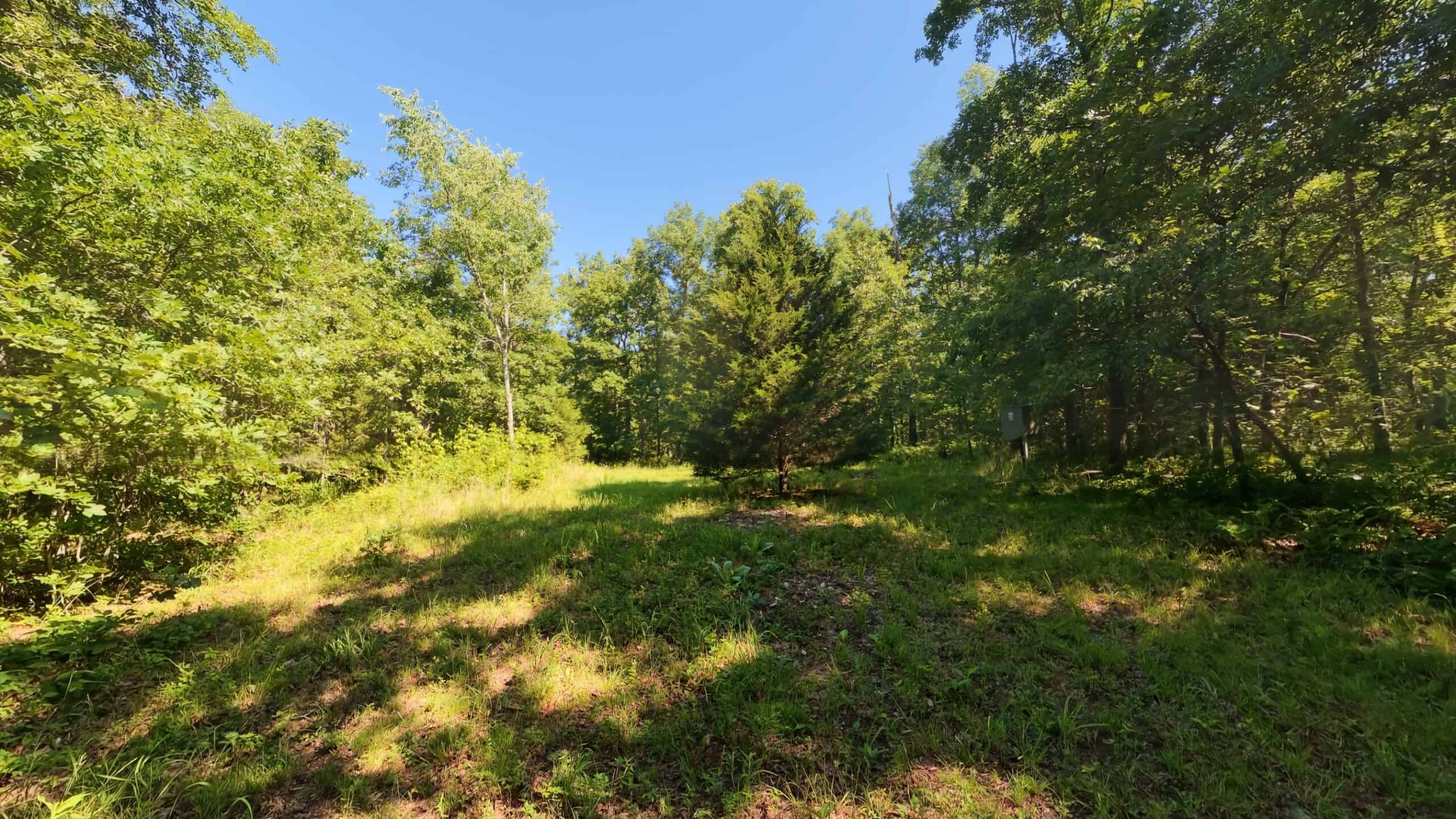 Missouri Hunting Property Bordering National Forest