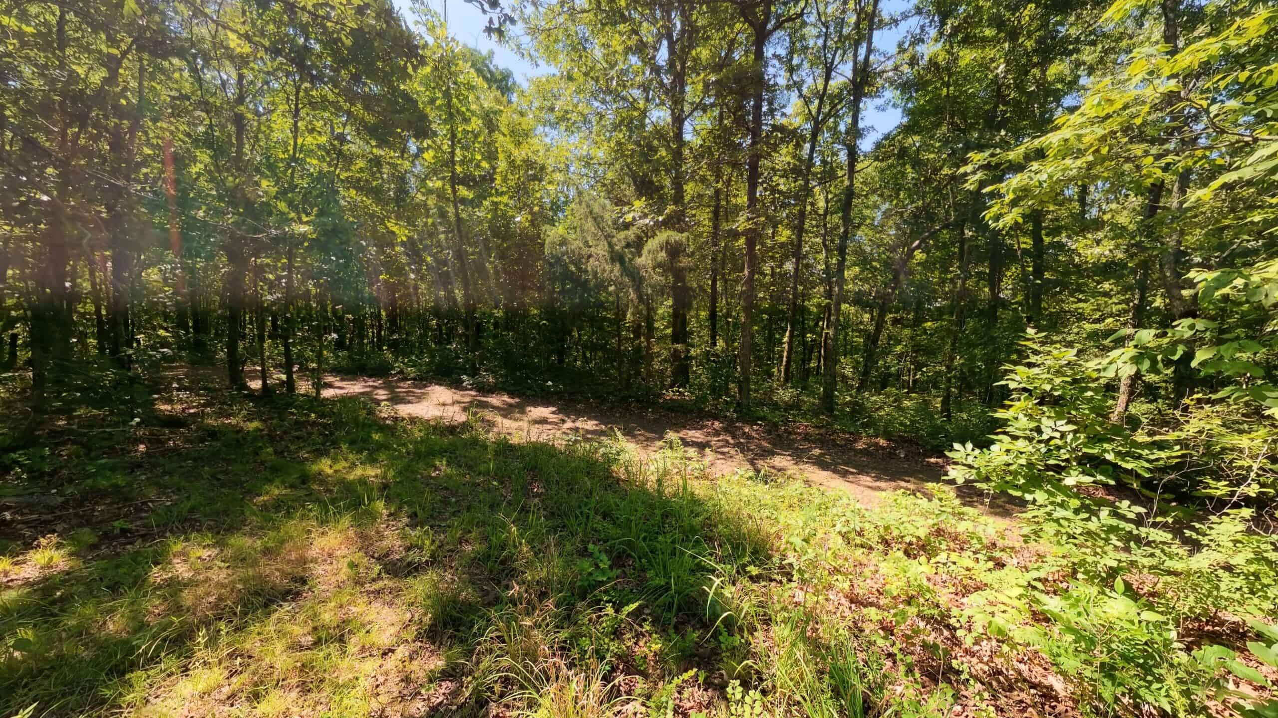 Missouri Hunting Property Bordering National Forest