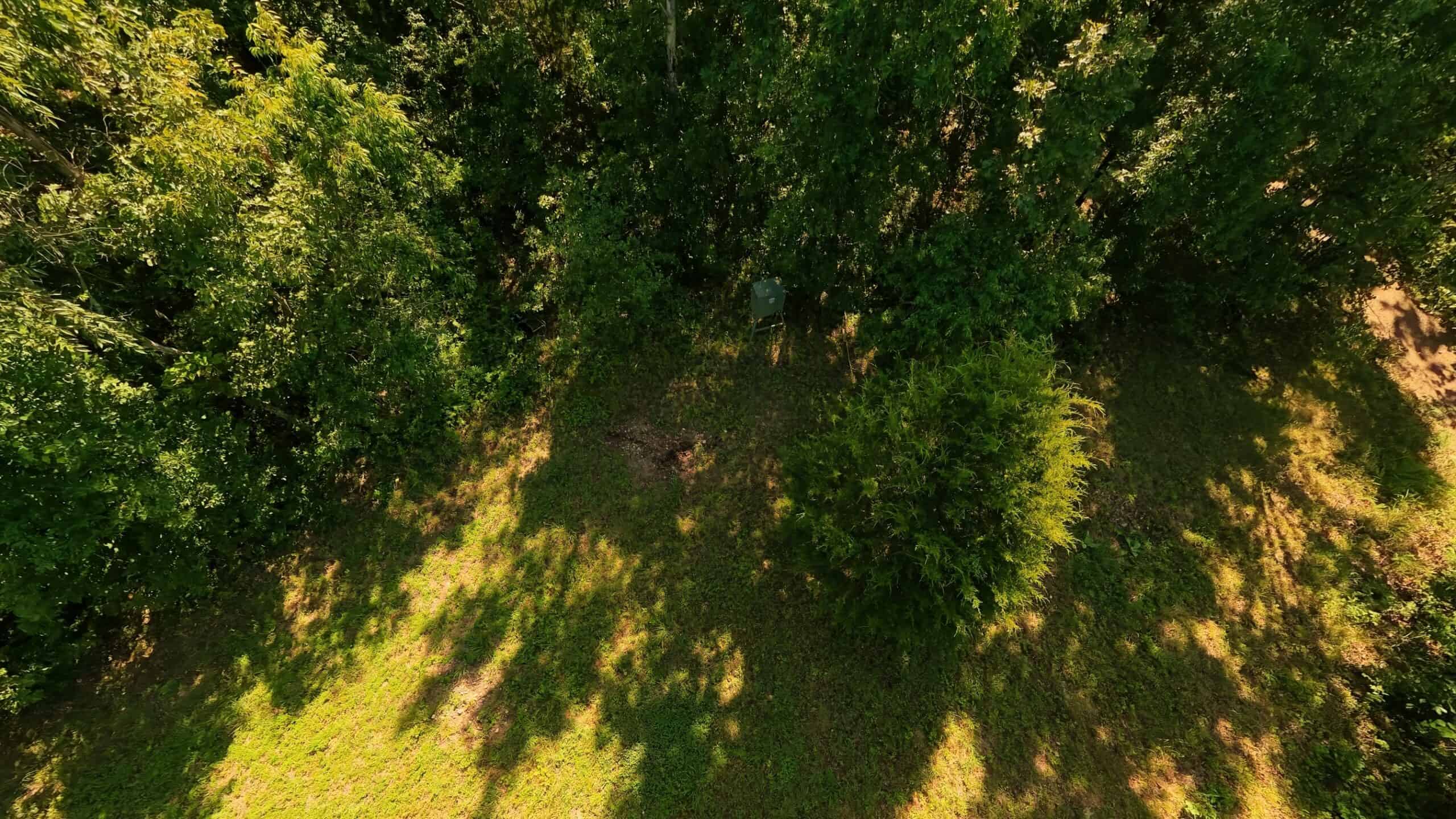 Missouri Hunting Property Bordering National Forest
