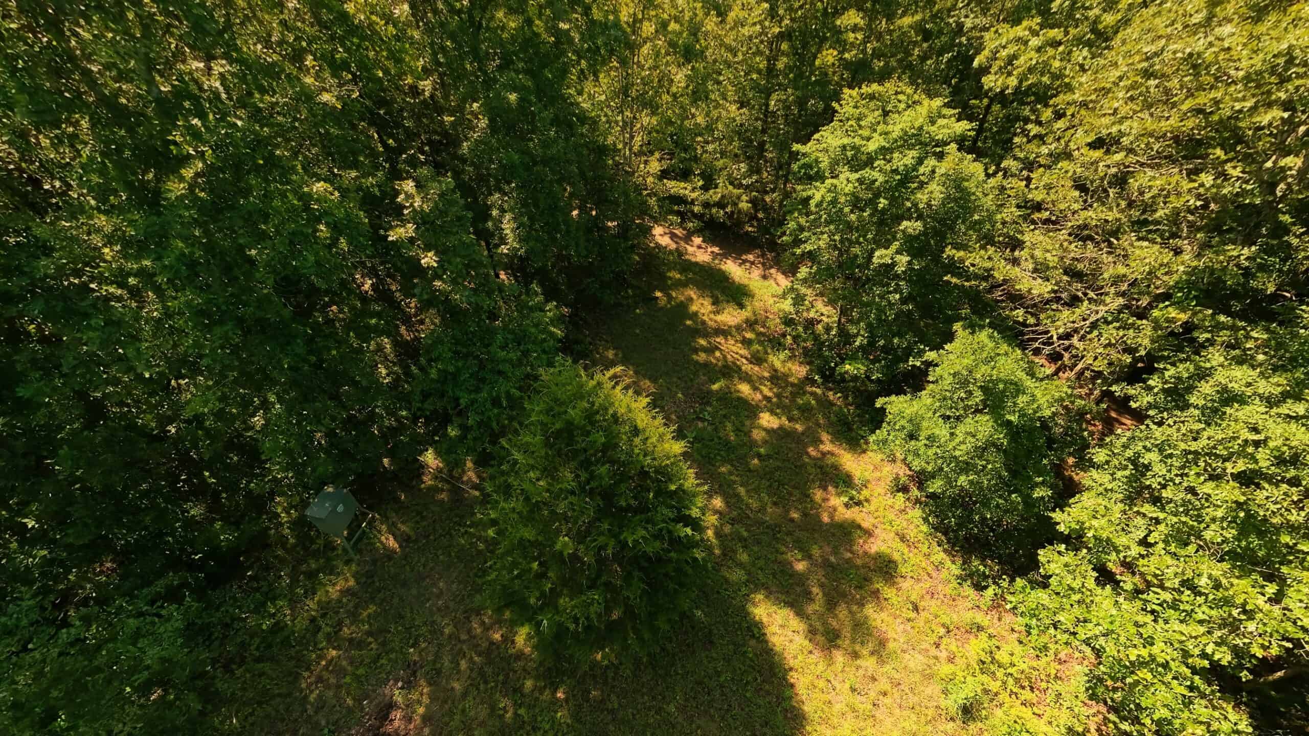 Missouri Hunting Property Bordering National Forest