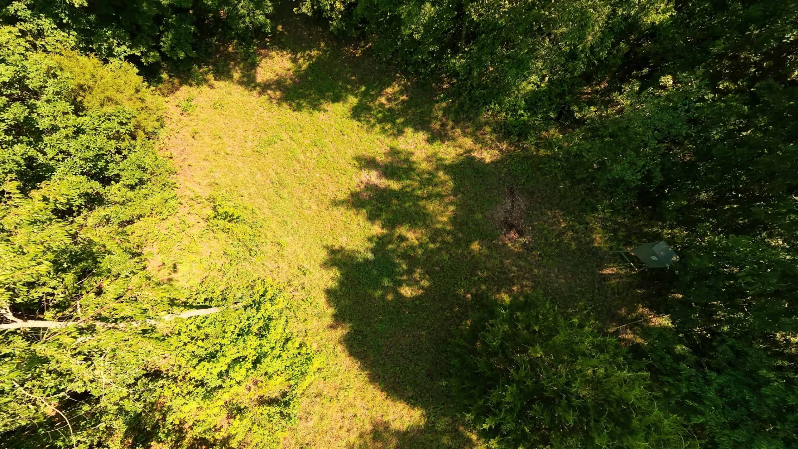 Missouri Hunting Property Bordering National Forest