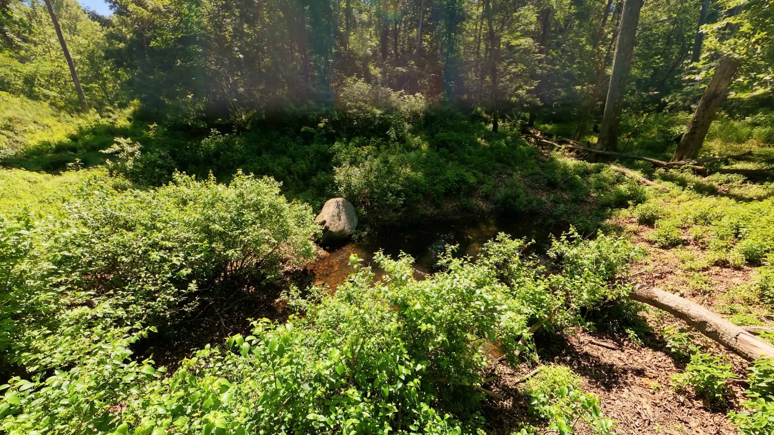 Missouri Hunting Property Bordering National Forest