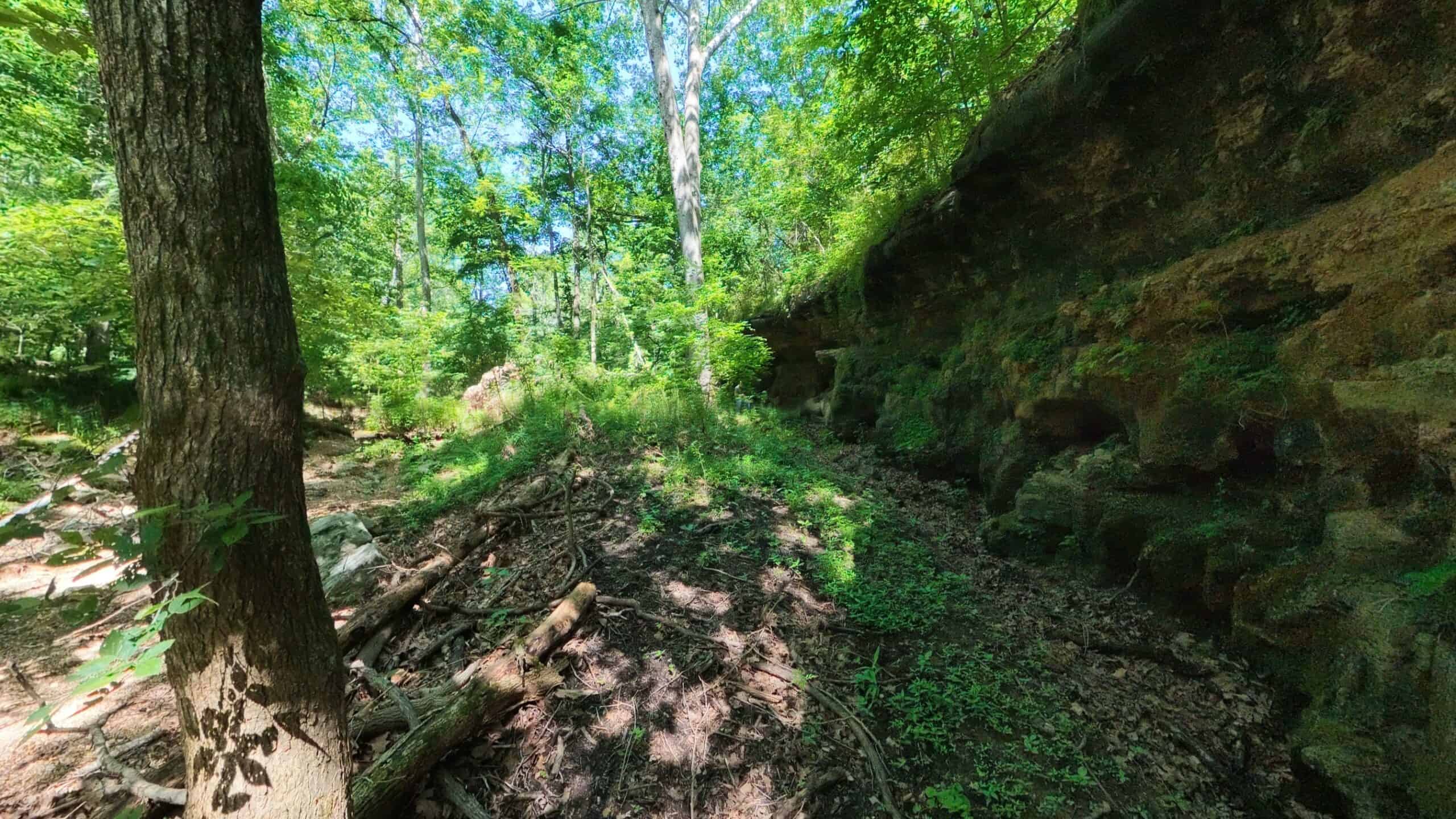 Missouri Hunting Property Bordering National Forest