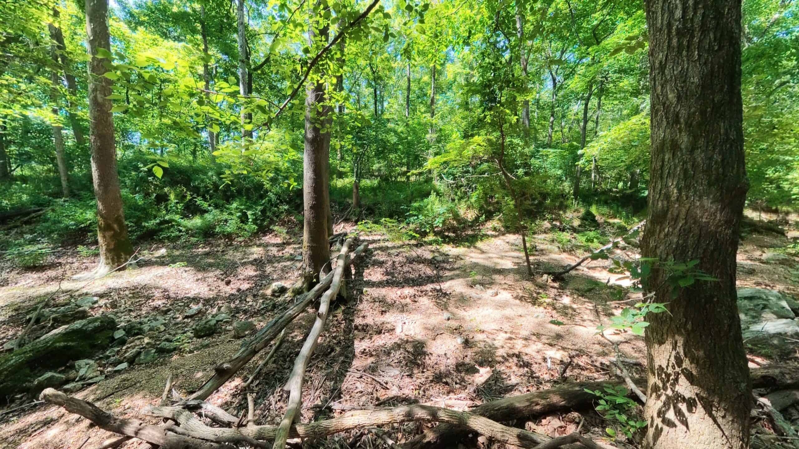 Missouri Hunting Property Bordering National Forest