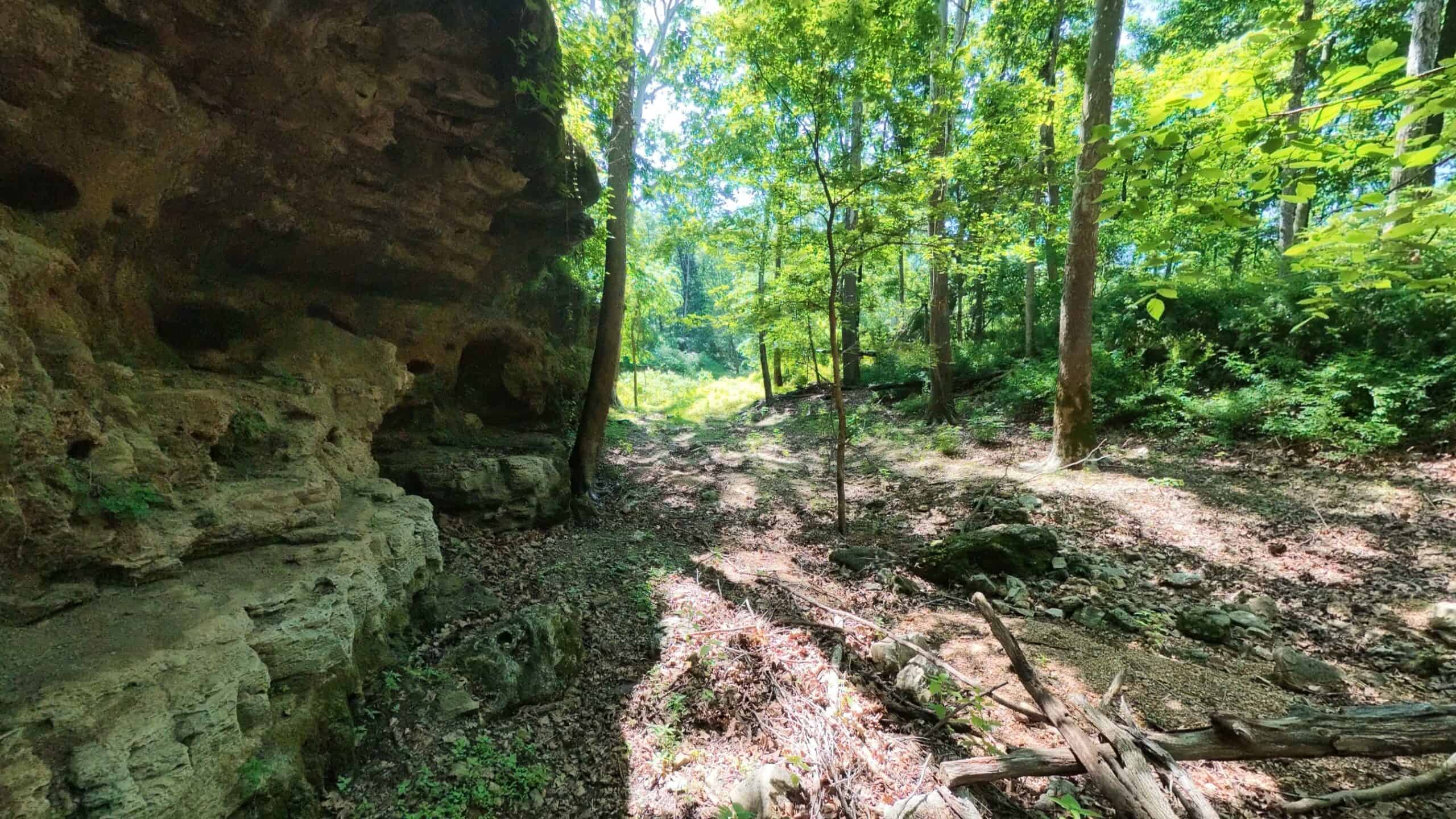 Missouri Hunting Property Bordering National Forest
