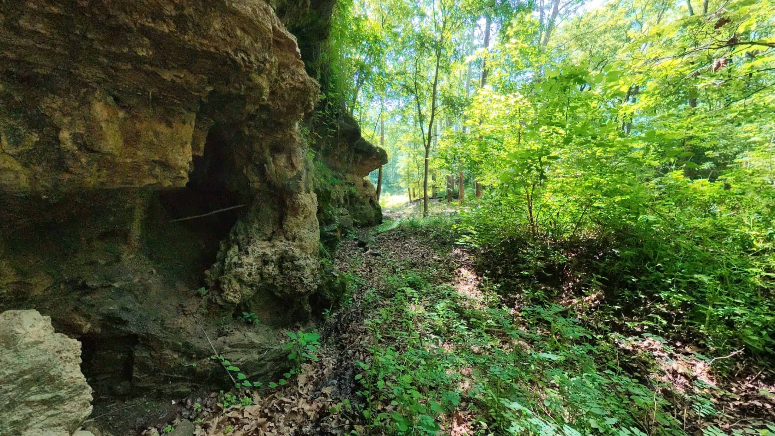 Missouri Hunting Property Bordering National Forest