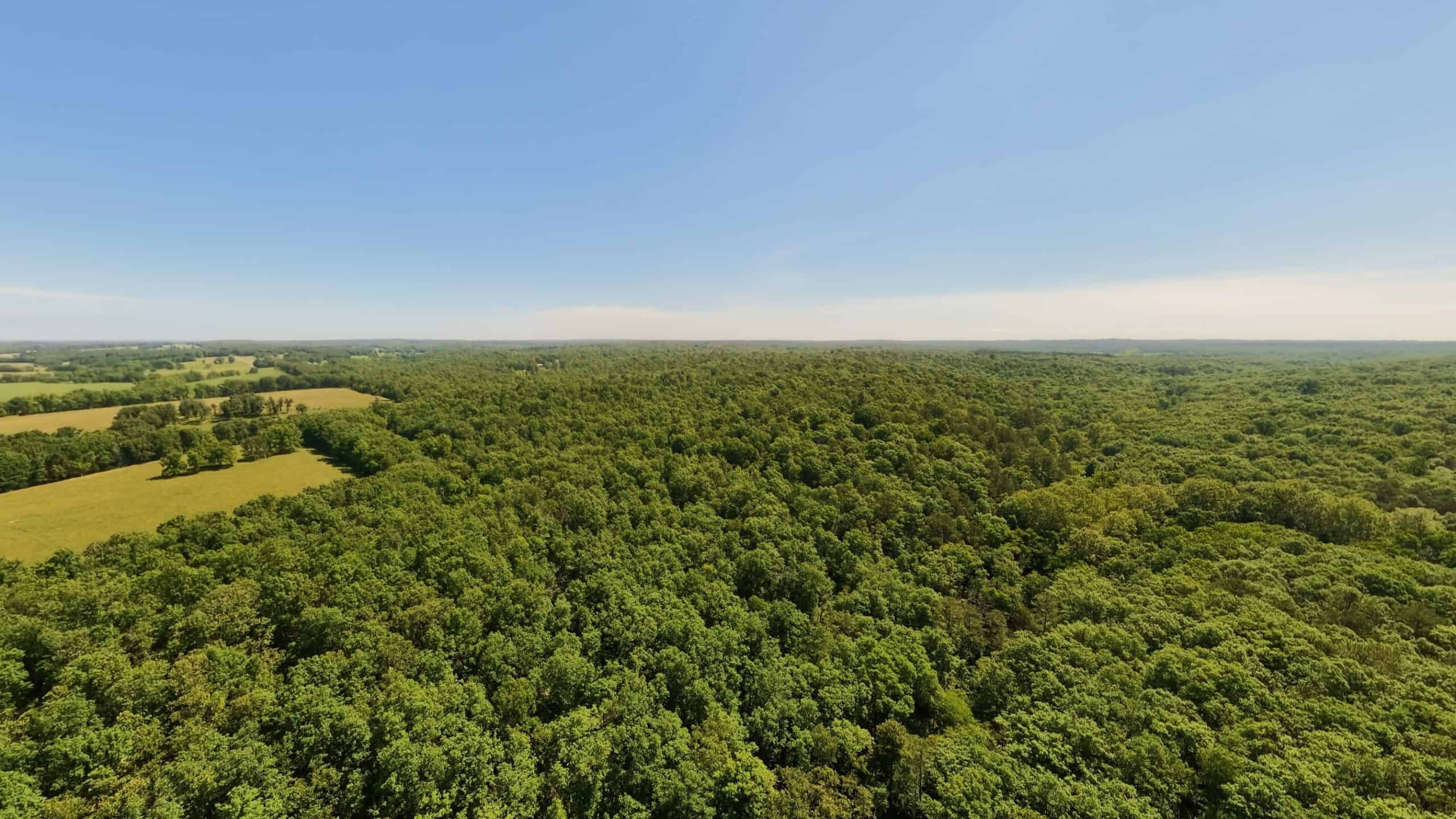 Missouri Hunting Property Bordering National Forest